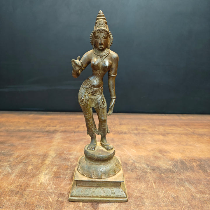 Brass Standing Parvati Statue Antique Patina Finish 12 Inch