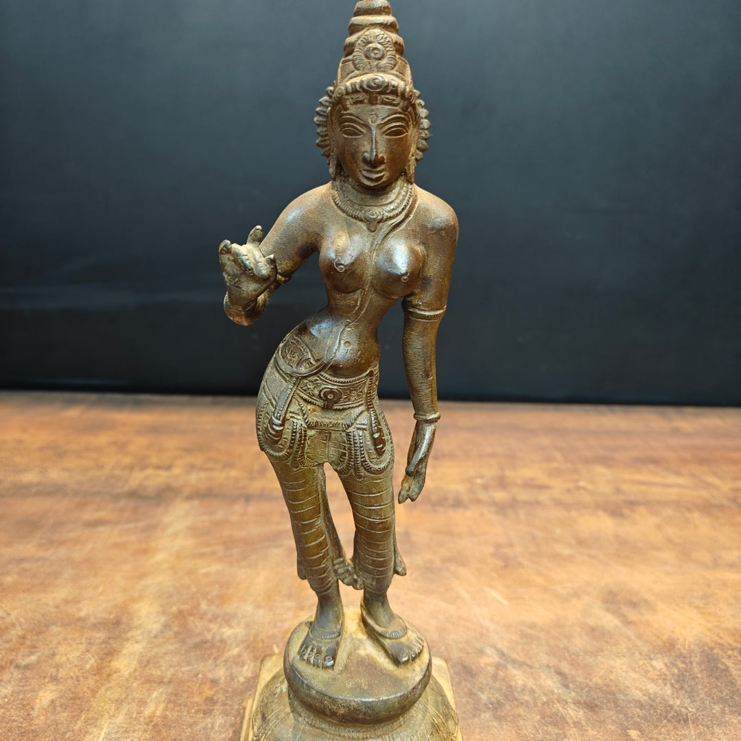 Brass Standing Parvati Statue Antique Patina Finish 12 Inch