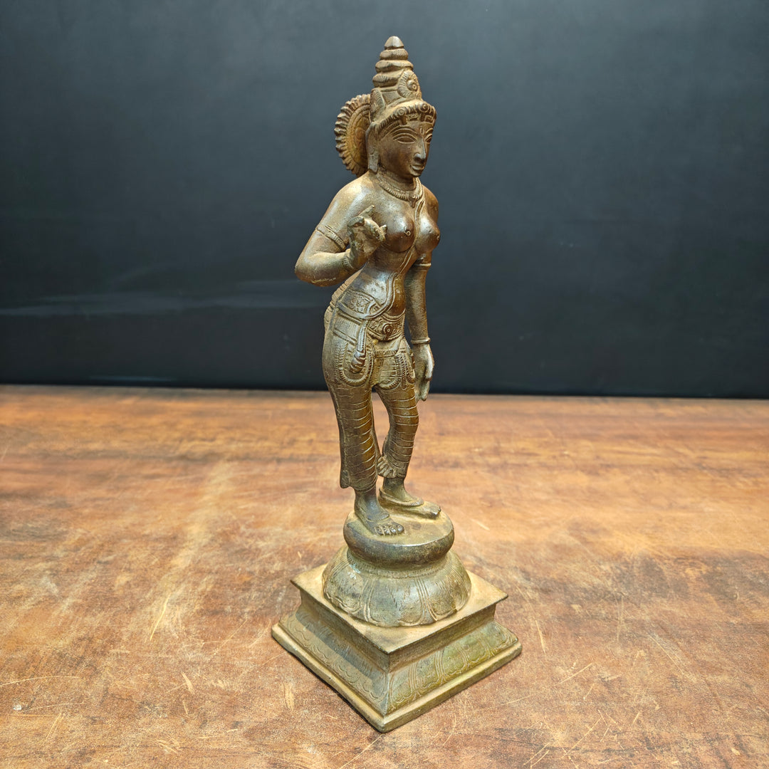 Brass Standing Parvati Statue Antique Patina Finish 12 Inch