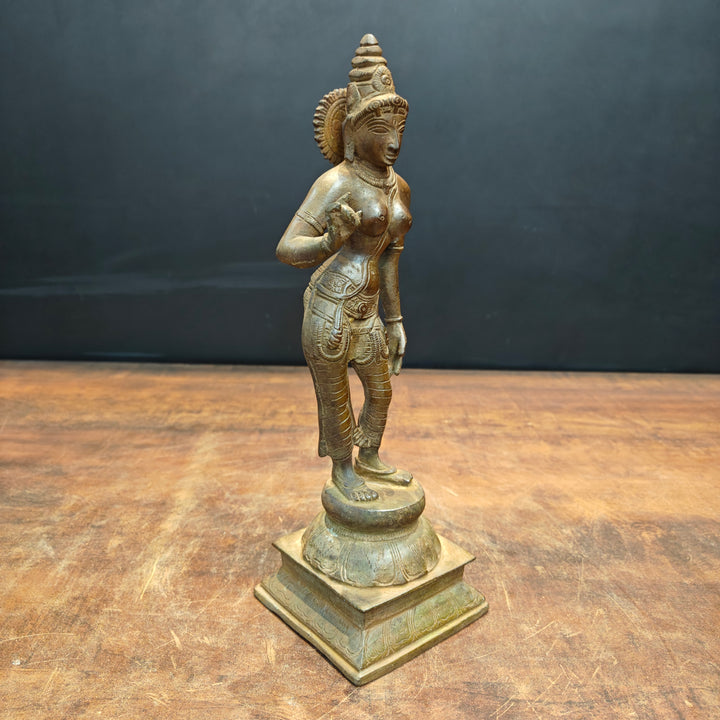 Brass Standing Parvati Statue Antique Patina Finish 12 Inch