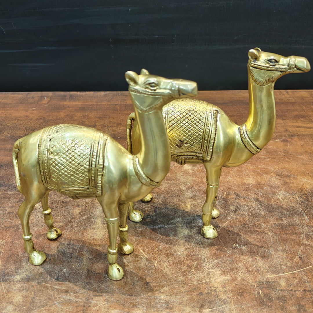 Brass Camel Pair Statue Vastu Recommended Showpiece 9 Inch