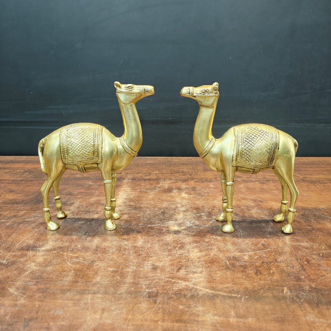 Brass Camel Pair Statue Vastu Recommended Showpiece 9 Inch