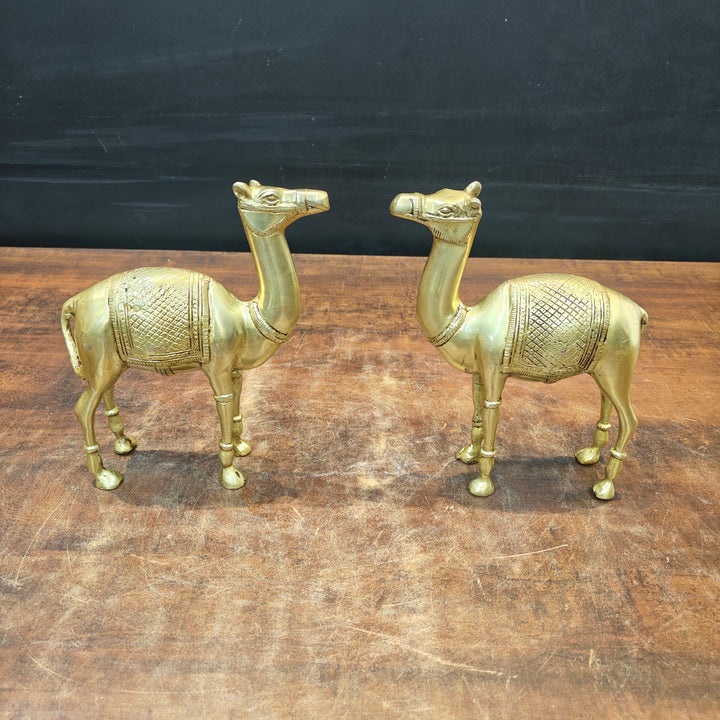 Brass Camel Pair Statue Vastu Recommended Showpiece 9 Inch