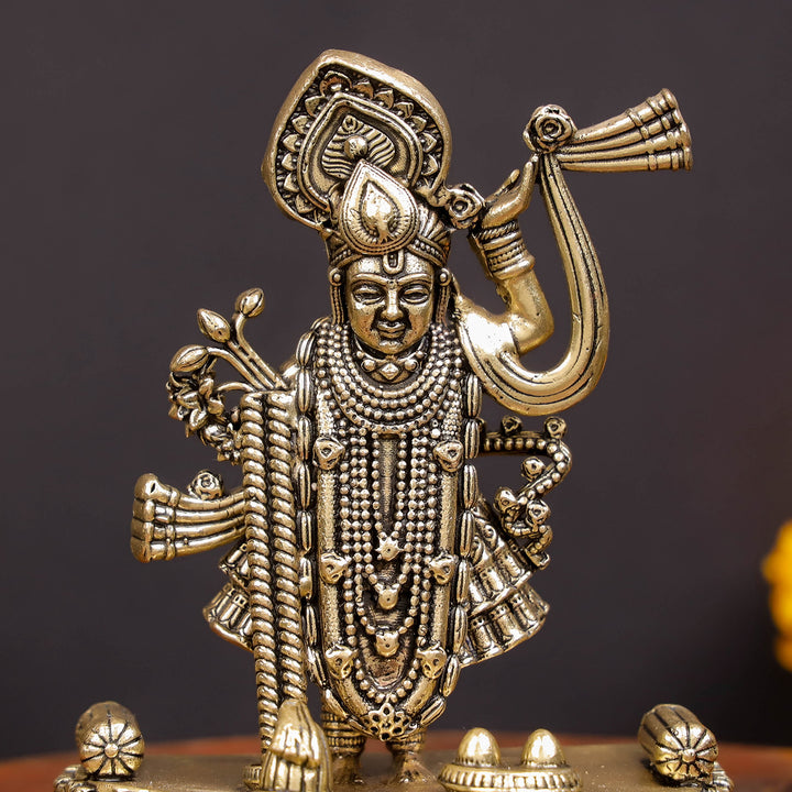 Brass Superfine Shreenath Ji Idol For Home Temple Decor 4 Inch