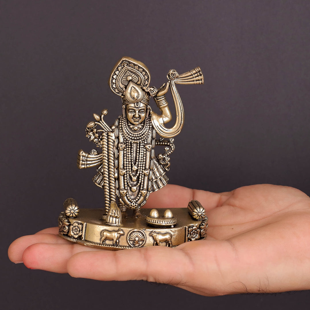 Brass Superfine Shreenath Ji Idol For Home Temple Decor 4 Inch