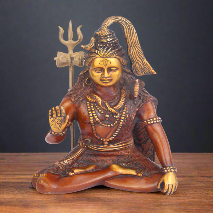 Brass Blessing Lord Shiva Idol Figurine 1 Feet 392700