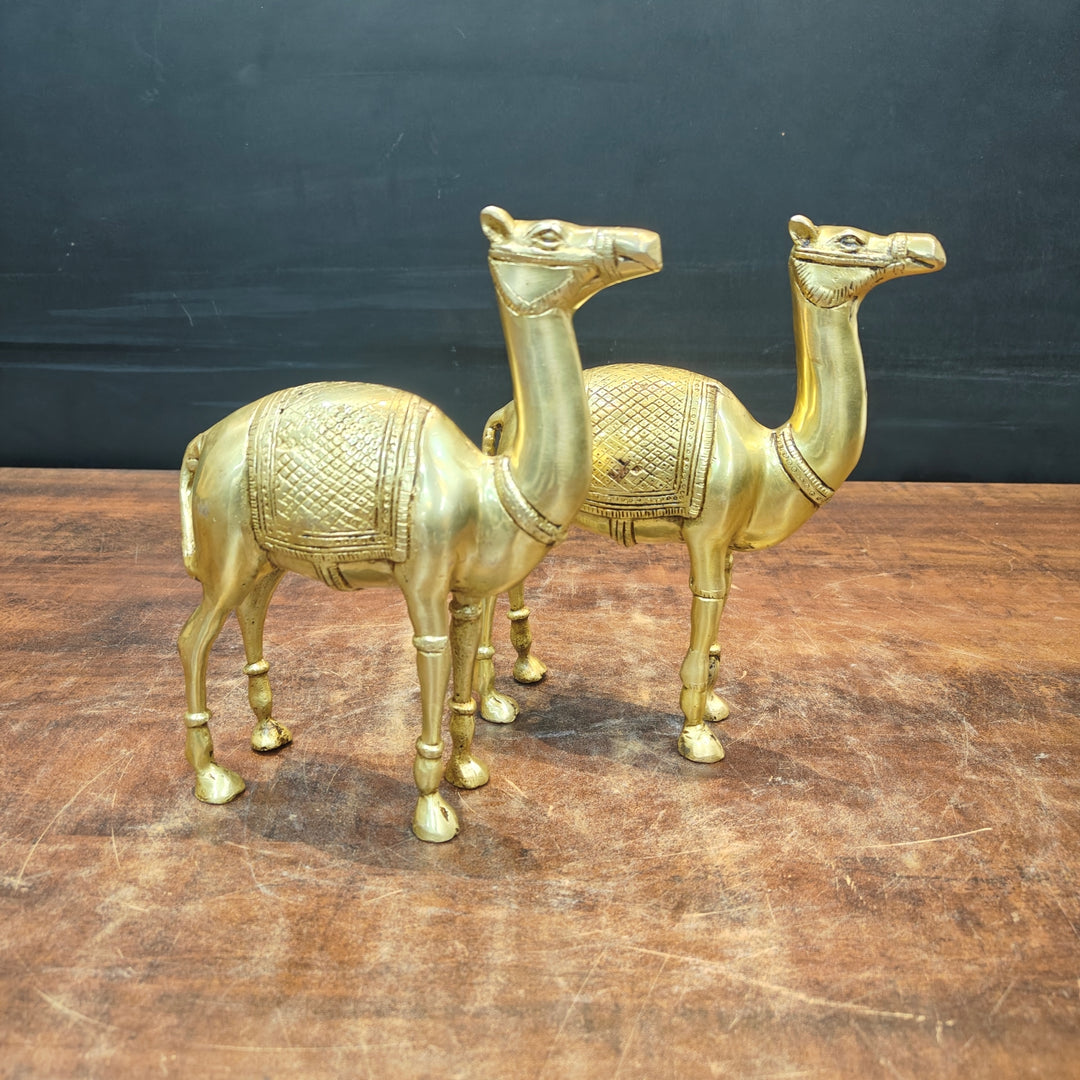 Brass Camel Pair Statue Vastu Recommended Showpiece 9 Inch
463668