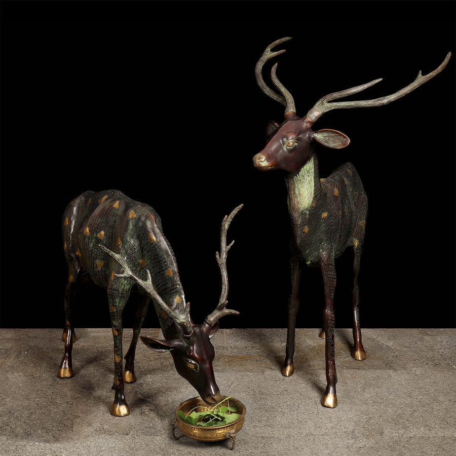 Brass Large Deer Pair Decorative Showpiece Animal Figurine 4 Feet 463790