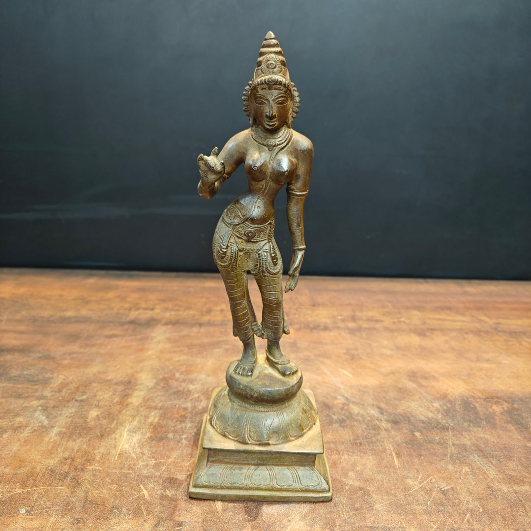 Brass Standing Parvati Statue Antique Patina Finish 12 Inch 463497