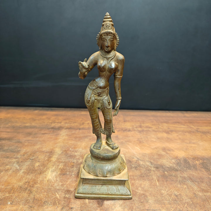 Brass Standing Parvati Statue Antique Patina Finish 12 Inch 463497