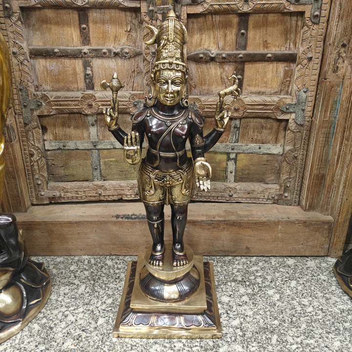 Brass Antique Shiva Idol in Chola Style 31 Inch