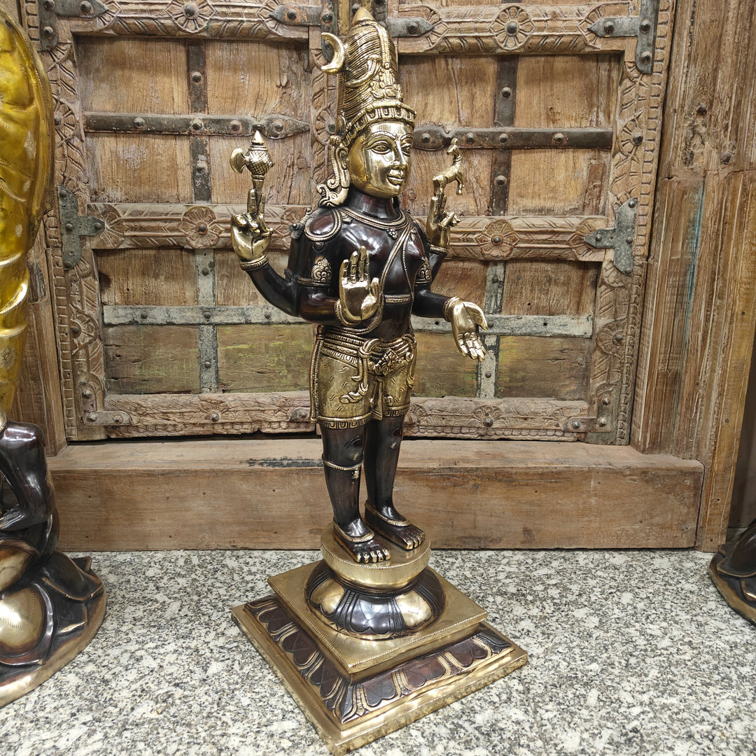 Brass Antique Shiva Idol in Chola Style 31 Inch