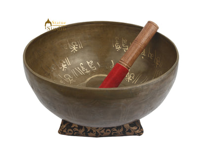 Tibetan Healing Buddha Engraved Hand Hammered Meditation Singing Bowl 11"